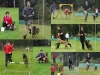 CombiSport goed