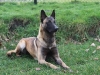 britt-liggend-2
