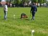 speuren mei 2010 pup los in vakje
