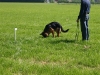 speuren mei 2010 pup los in vakje